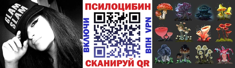 Псилоцибиновые грибы прущие грибы omg зеркало Щёкино где продают