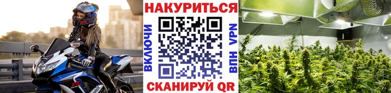 как найти наркотики  Щёкино  Каннабис White Widow 